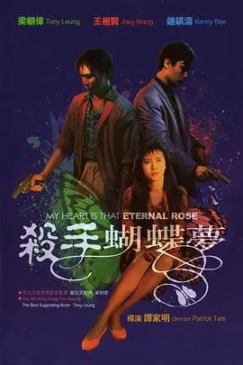 《杀手蝴蝶梦》：迷雾重重，真相与背叛的华丽杀局