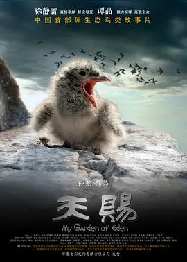 《天赐》：一部关于命运与救赎的深刻人性探索