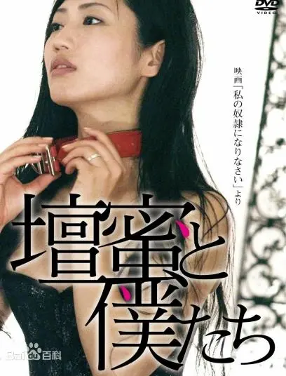 《做我的奴隶3》：情欲与禁忌的边缘试探，爱与控制的终极较量
