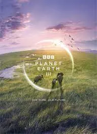 《地球脉动3》：震撼回归，见证地球生命的奇迹与脆弱