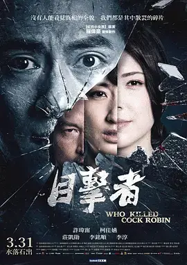 《目击者之追凶》：迷雾重重，真相难寻，谁是幕后真凶？