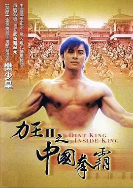 《力王中王》：血腥暴力美学的极致？深度剖析樊少皇的另类英雄之路