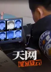 《天网：罪案疑云》：迷雾重重的悬疑世界，真相究竟藏在何处？